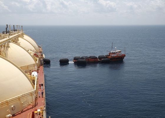 Qualità Il tipo cuscino ammortizzatore di gomma gonfiabile di Yokohama può essere usato per la prevenzione di collisione della nave fabbrica