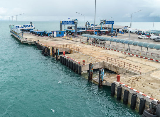 Qualità Cuscino ammortizzatore di gomma D tipo marino facile installare forte dimensione su ordinazione durevole disponibile fabbrica