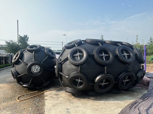 Qualità Resistenza all'abrasione e buona resistenza alla corrosione fabbrica