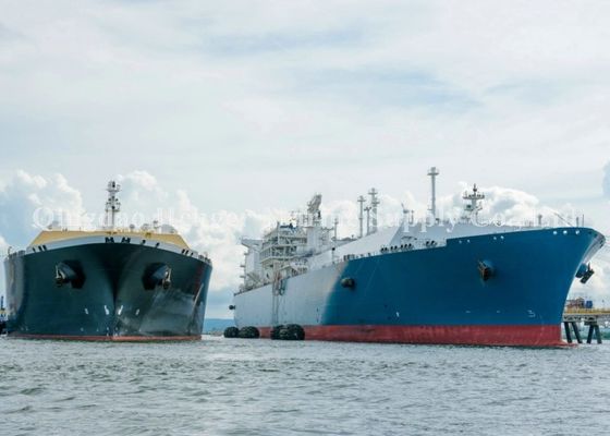 Qualità Cuscino ammortizzatore di gomma pneumatico di Yokohama per il trasferimento Pperations di (STS) della nave--nave fabbrica