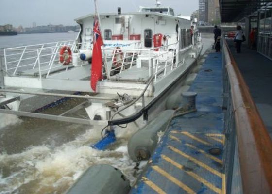 Qualità Cuscino ammortizzatore riempito di gomma piuma di multi opzione di colore con Tiro e la manica proteggente a catena fabbrica