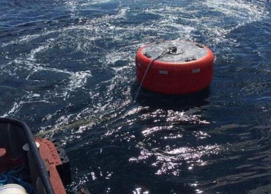 Qualità Materiale marino del politene di EVA della boa di attracco della nave con il rendimento elevato fabbrica