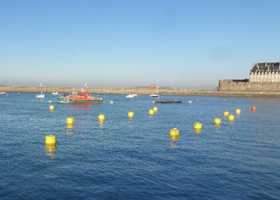Qualità Boa di attracco offshore di Rod, boa dell'indicatore di Manica del politene per vita dell'acqua fabbrica