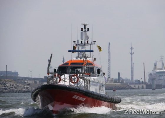 Qualità Cuscini ammortizzatori riempiti di gomma piuma solidi della barca di EVA con resistenza di invecchiamento di elasticità della cinghia della legatura alta fabbrica