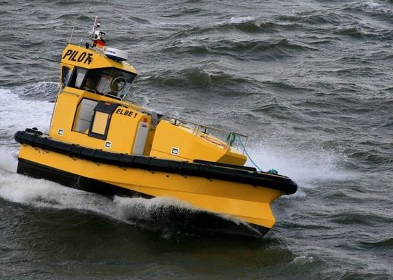 Qualità Cuscini ammortizzatori riempiti di gomma piuma solidi della barca di EVA con resistenza di invecchiamento di elasticità della cinghia della legatura alta fabbrica