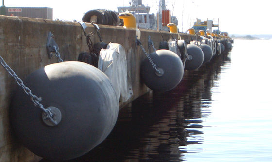 Qualità protezione di gomma pneumatica di Marine Rubber Fender For Dock del cuscino ammortizzatore di 1.5*2.5m fabbrica