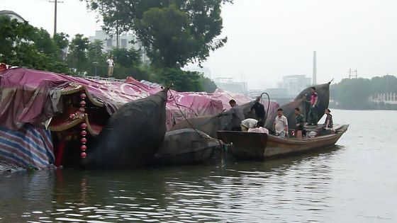 Qualità Cuscino ammortizzatore di galleggiamento di gomma della barca del cuscino ammortizzatore di Marine Inflatable Boat Hydro Pneumatic fabbrica